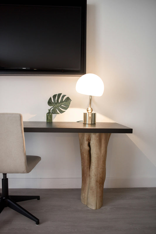 Todo lo que necesitas saber antes y después de comprar en Torno Home Design